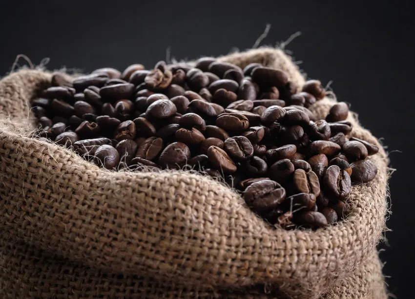 Le proprieta antiossidanti del caffe_850px2